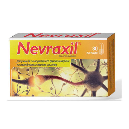 Невраксил капсули допринася за нормалното функциониране на периферната нервна система при състояния, свързани със скованост, изтръпване, мравучкане и безчувственост на крайниците.