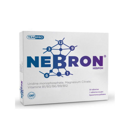 Неброн е доказан продукт, съдържащ ценни хранителни вещества, подпомагащи структурата и функцията на периферната нервна система. Ускорява физиологичните механизми за регенерация на периферната система чрез стимулиране на невронния метаболизъм.