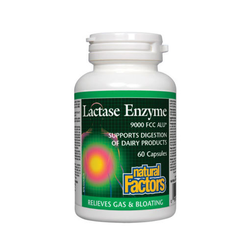 Лактаза ензим на Natural Factors спомага за редуциране симптомите на лактозна непоносимост. Това е неспособността за смилане на млечната захар (лактоза) при дефицит на ензима лактаза, който се произвежда в тънките черва.